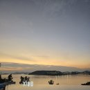 비고리조트 3 이미지