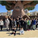 합기도 우리도장 이미지