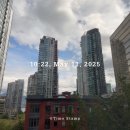 청춘약국 | 🇨🇦밴쿠버워홀 14주차 | 청춘기록250511 - 그들의 푸름을 다 먹고 내가 나무가 되었다.