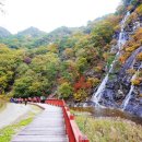 신포우리만두전북