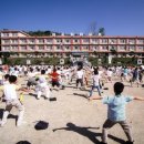 둔대초등학교 이미지