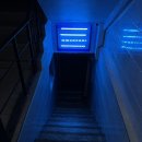 건대연습실 배경 예쁜 블라썸스튜디오에 다녀왔다 (댄스커버 촬영 연습실 추천)