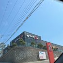 미소복어 이미지