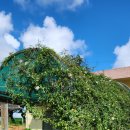 미암초등학교 이미지