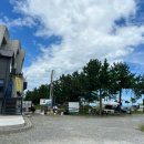 욜로하 스테이 이미지