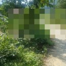 멘토링공인중개사사무소 이미지