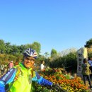 가을노을C 이미지