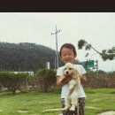 아빠가 지은 집 이미지