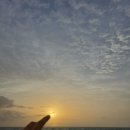 EP.3 바다는 모든 것을 받아 이미지