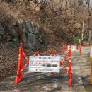 화성양돈 이미지