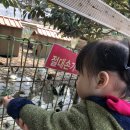 최선365의원 이미지