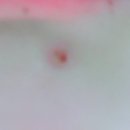 오킴스피부과의원 이미지