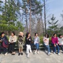 Museum SAN 느릿느릿 산책 이미지
