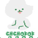 댕댕얌얌 이미지