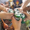 알프스캠핑장 이미지