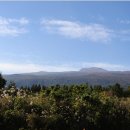 애월농장 이미지