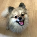 율정마을7단지 이미지