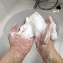 볼륨샴푸 딥퍼랑스 다크 시나몬 어번던스 샴푸 후기