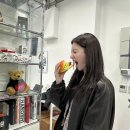 코코 스타디움 이미지