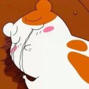 분당-247 이미지