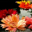 리츠프라자 호텔 이미지