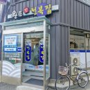미용특공대 | 경주 현지인 맛집 완도참전복집 해물찜 전복죽 점심 후기
