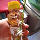 모아더 이미지