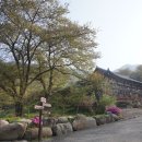 신협 앞 이미지