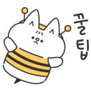 신화오토 이미지