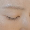 학동역 청담벨라 속눈썸 펌 후기 ✨