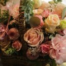 Flower늘봄 이미지