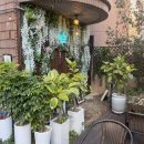 부산광역시 수영구 광남로10번길 2   (남천동) kbs삼거리 앞 | 부산 광안리 맛집 박성환돈까스 광안대교 코스 맛집