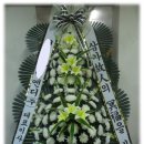 야탑동 351 (분당차병원) 이미지