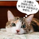 노가리호프 이미지