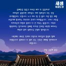 새샘태권도장 이미지