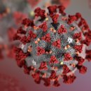 조이분식 이미지