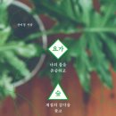 요가숲 - 제주시 고마로 88 | 요가숲