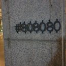 도넛이 유명한 쌍용동 #808080카페 내돈내산 솔직후기