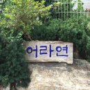 갈마정미소 네이버블로그