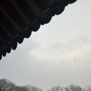 구제스토리 이미지