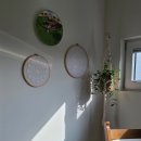 벤조롱 달빛정원 이미지