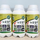 구근 무름병 식물 고사 주범! 뿌리파리등 친환경제거 이미지