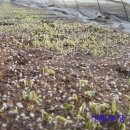 성림농장 이미지