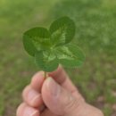 강동-길동-161 이미지