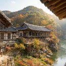 *안동 병산 서원 자연과 유교가 어우러진 조선의 명소 이미지