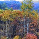 개울옆길 이미지