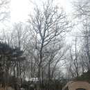 성불산자연휴양림 캠핑장 이미지