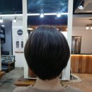 미스 & 미스터미용실