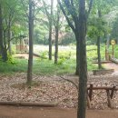 논현중앙근린공원 이미지