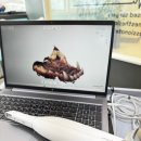서울대동물종합병원 | [공지] 🦷 스무살의꿈은 &#39;진짜 동물치과&#39;입니다!